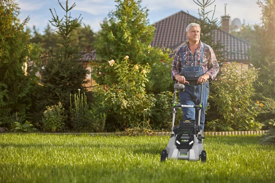 small electric mower