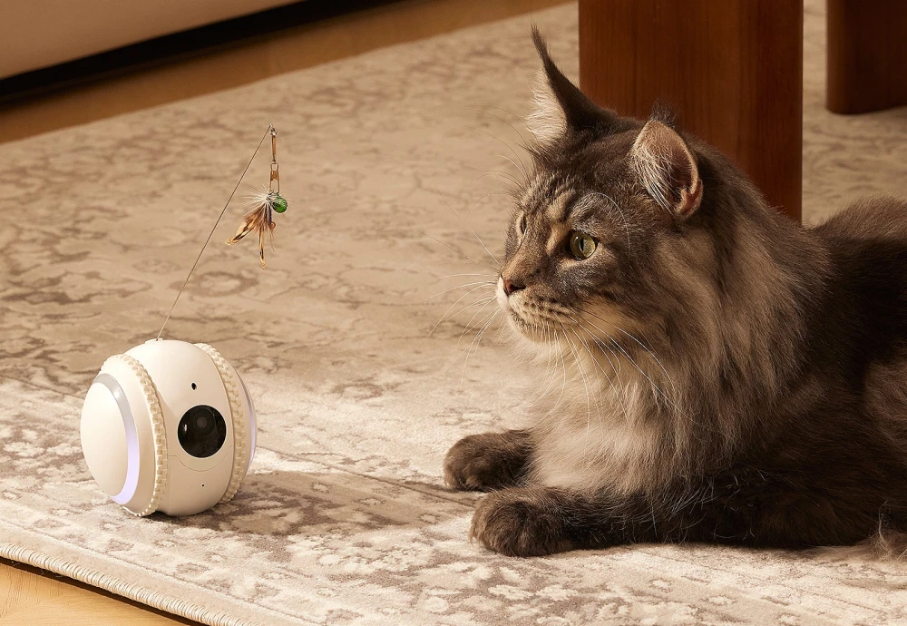 robot camera for pets