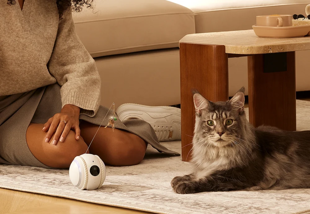 home camera for pets