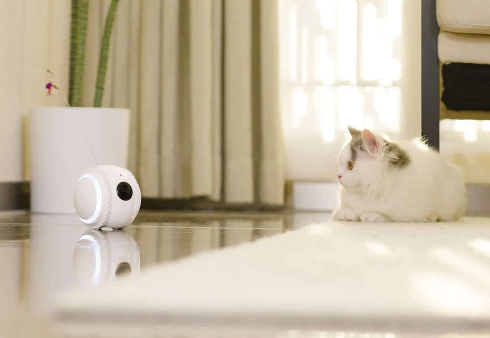 wireless home pet camera