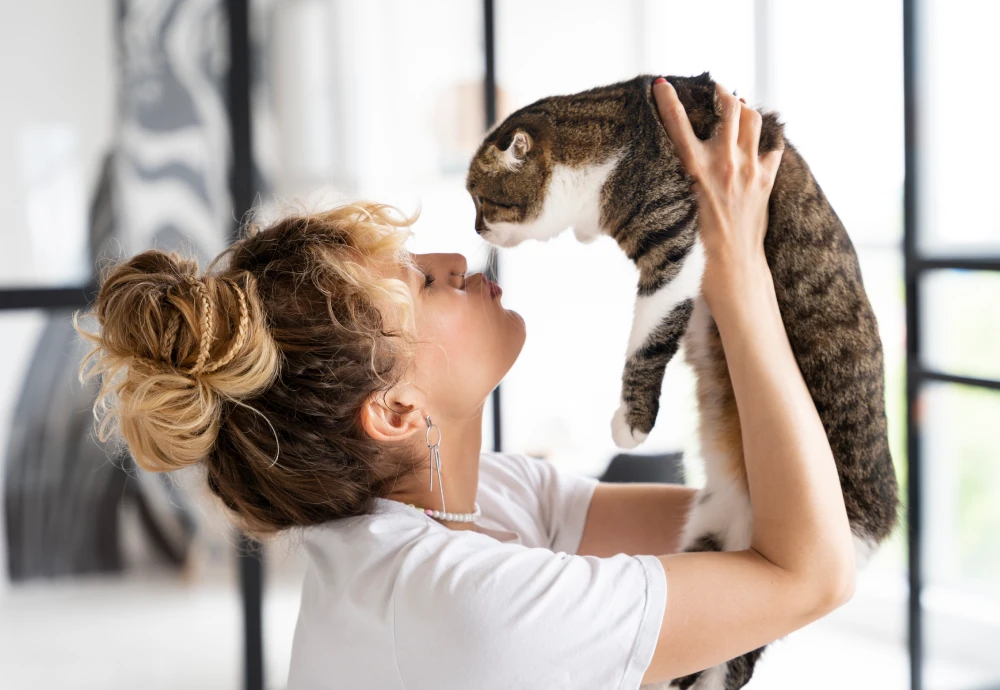 interactive pet camera