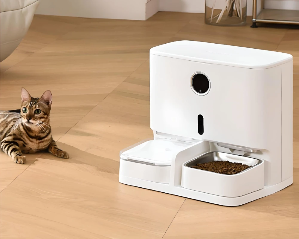 animal planet automatic pet feeder