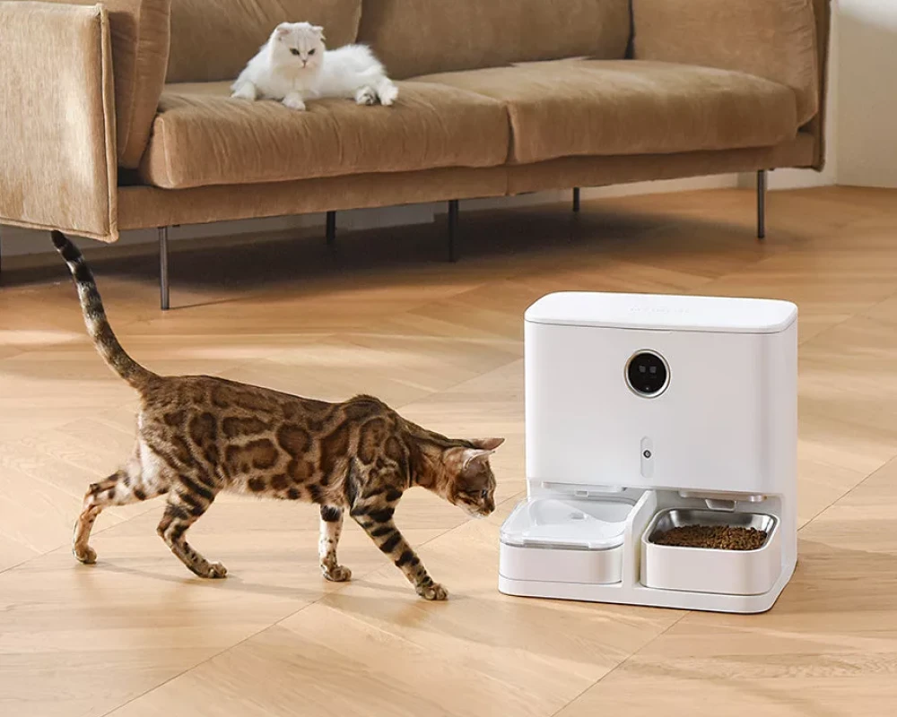 automatic dog feeder with camera