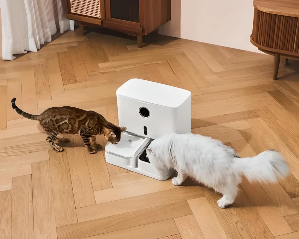 automatic dog feeder with camera